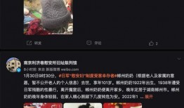 幸存者爆料日本视频大全,日本视频大全背后的真实故事