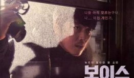 the voice韩剧在线观看,音乐选秀的激情与梦想之旅