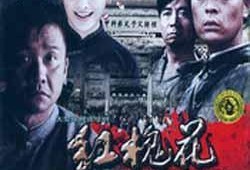 红槐花在线观看,穿越时空的浪漫传奇