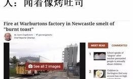 今日外网爆料新闻视频,最新视频揭露惊人真相，引发全球关注！