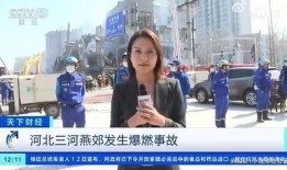 日本记者离职爆料视频,内幕曝光，真相令人震惊
