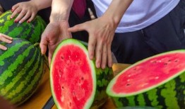 免费吃瓜日常,揭秘娱乐圈幕后故事