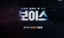 the voice韩剧在线观看,音乐选秀的激情与梦想之旅