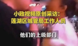 西安爆料视频大全,一窥古城生活百态