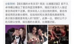 娱乐圈内人的爆料是什么,揭秘明星背后的惊人真相