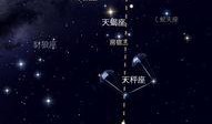 天鲁在线观看,揭秘网络直播的魅力与挑战