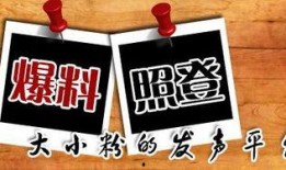 新闻爆料小编,揭秘新闻背后惊人真相