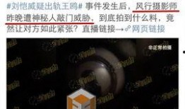 新疆最新八卦爆料视频,揭秘神秘事件背后的真相！