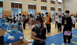 太宰治最新爆料消息视频,揭秘不为人知的背后故事