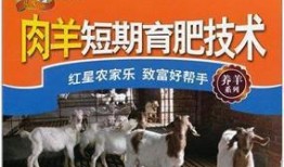 育肥羊爆料视频播放