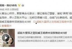 作假爆料视频大全最新,最新爆料视频大全深度解析