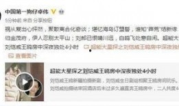 作假爆料视频大全最新,最新爆料视频大全深度解析