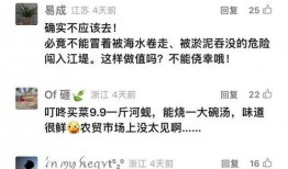 钱江最新爆料消息今天视频,揭秘今日热点事件内幕