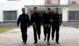 西湖持械学生爆料案件最新,最新爆料揭示惊人内幕