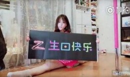 智哥爆料劳务菲菲视频,劳务菲菲视频背后的惊人真相