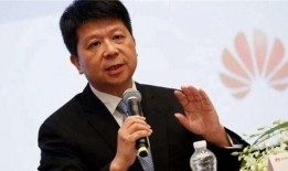 郭平爆料芯片事件视频,揭秘我国芯片产业的困境与挑战