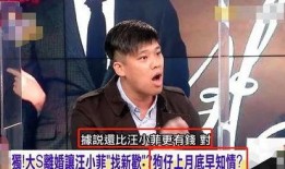 汪小菲狗仔爆料视频,揭秘娱乐圈幕后真相
