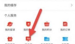 爆料视频投放平台有哪些,掌握信息传播新趋势