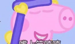 佩琪学员爆料是真的吗视频