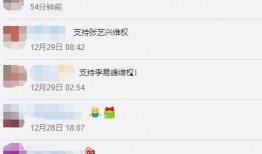 娱乐圈爆料打官司,明星打官司背后的真相揭晓