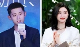 吴某爆料女星视频大全集,揭秘女星视频大全集背后的惊人真相