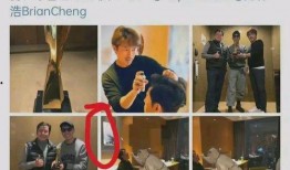 娱乐圈爆料打官司,明星打官司背后的真相揭晓