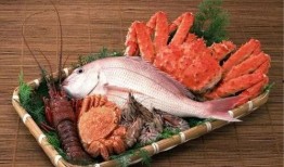 福建海鲜爆料视频大全下载,视频大全带你领略海鲜美味盛宴