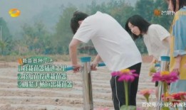 黄磊爆料周迅黑历史视频,揭秘娱乐圈不为人知的真相