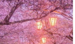 头条渔乐爆料视频大全下载,头条渔乐爆料视频大全下载精选