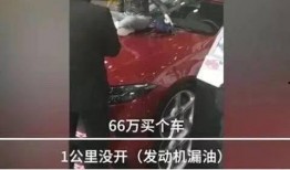 女子爆料丈夫奔驰事件视频,引发社会关注