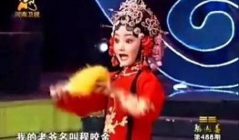今晚梨园春在线观看,在线直播精彩纷呈，传统戏曲魅力再现