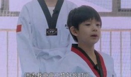 娱乐爆料潘粤明,娱乐圈再掀波澜