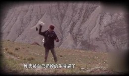 变形计崔浩然在线观看,在线见证蜕变与成长