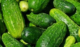 黄瓜农药爆料视频播放,黄瓜种植背后的真相揭露