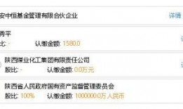 西安基金最新爆料信息网,揭秘投资动向与市场动态