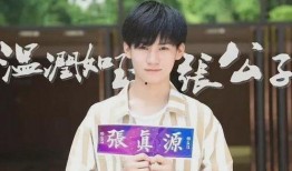 张真源私生爆料最新视频,揭秘明星私生活背后的真相