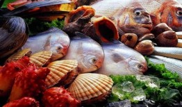 福建海鲜爆料视频大全下载,视频大全带你领略海鲜美味盛宴