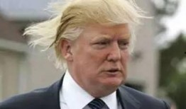 特朗普职业爆料视频大全,职业爆料视频大盘点