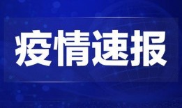 仙居热点爆料新闻视频,最新爆料新闻视频回顾