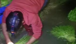 网友爆料夫妻生活视频,网友热议家庭伦理边界