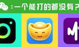 大嘴爆料夹子怎么做的视频,揭秘夹子制作全过程