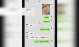 爆料生活趣闻视频下载,短视频中的欢乐瞬间