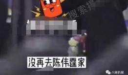 狗仔爆料陈伟霆视频,狗仔偷拍事件引发热议