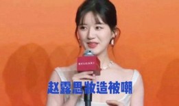 赵露思现在娱乐圈爆料了吗,真相与传闻的交织