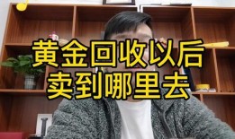 网哥爆料李海海视频,李海海视频内容大揭秘