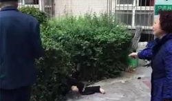 自贡家长爆料事件最新,校园事件引发社会关注，真相究竟如何？