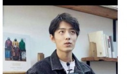 娱乐圈内幕爆料肖战,娱乐圈背后的真相与争议