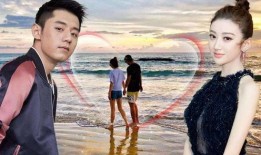 吴某爆料女星视频大全集,揭秘女星视频大全集背后的惊人真相