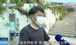 网红霸凌吃瓜男是谁呀,吃瓜群众热议的“霸凌男”究竟是谁？