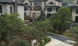 利维斯最新爆料视频网页,独家内幕大公开！